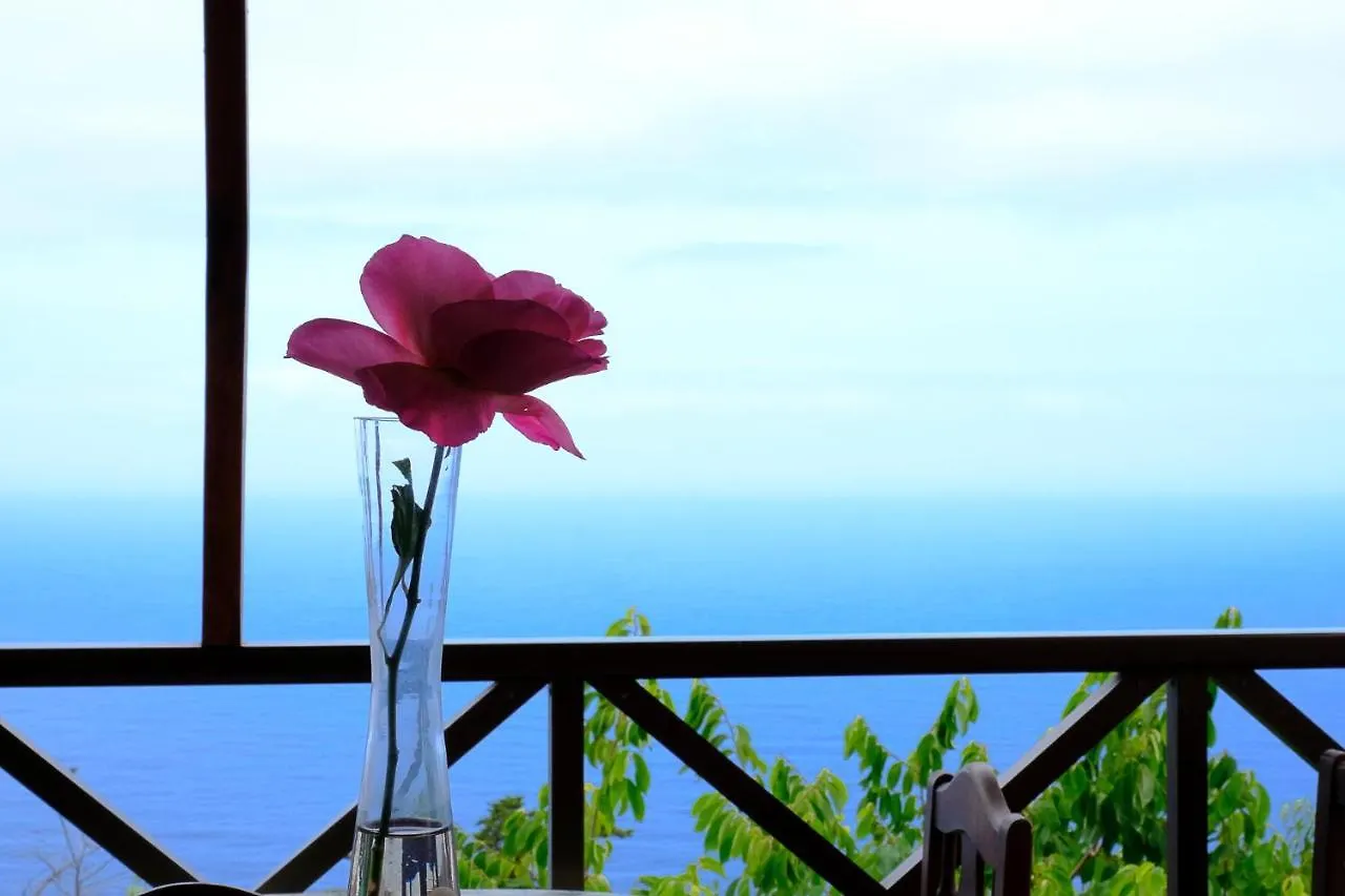 Holiday home Casas En Finca Ecologica La Espiral, Naturaleza, Calma Y Vistas Al Mar, Icod el Alto