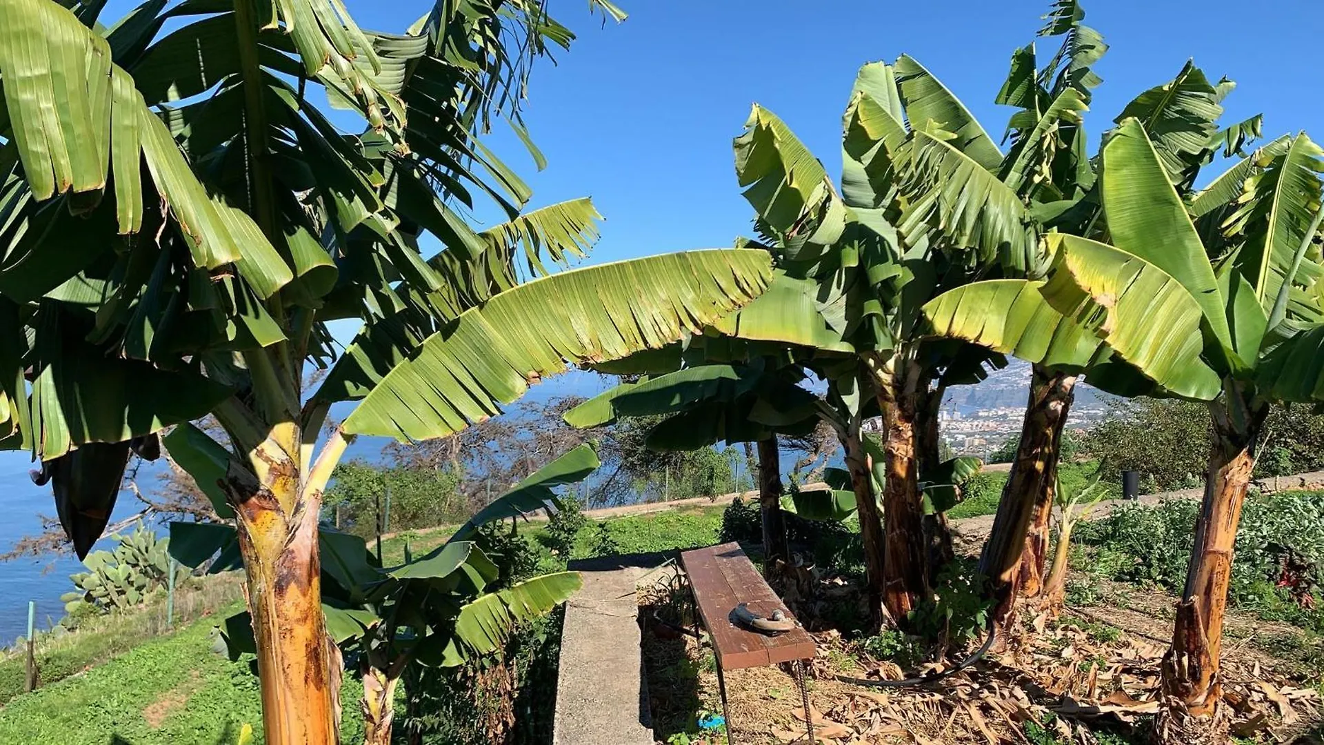 Casas En Finca Ecologica La Espiral, Naturaleza, Calma Y Vistas Al Mar, Icod el Alto Holiday home