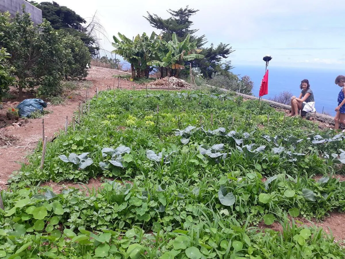 Casas En Finca Ecologica La Espiral, Naturaleza, Calma Y Vistas Al Mar, Icod el Alto Spain